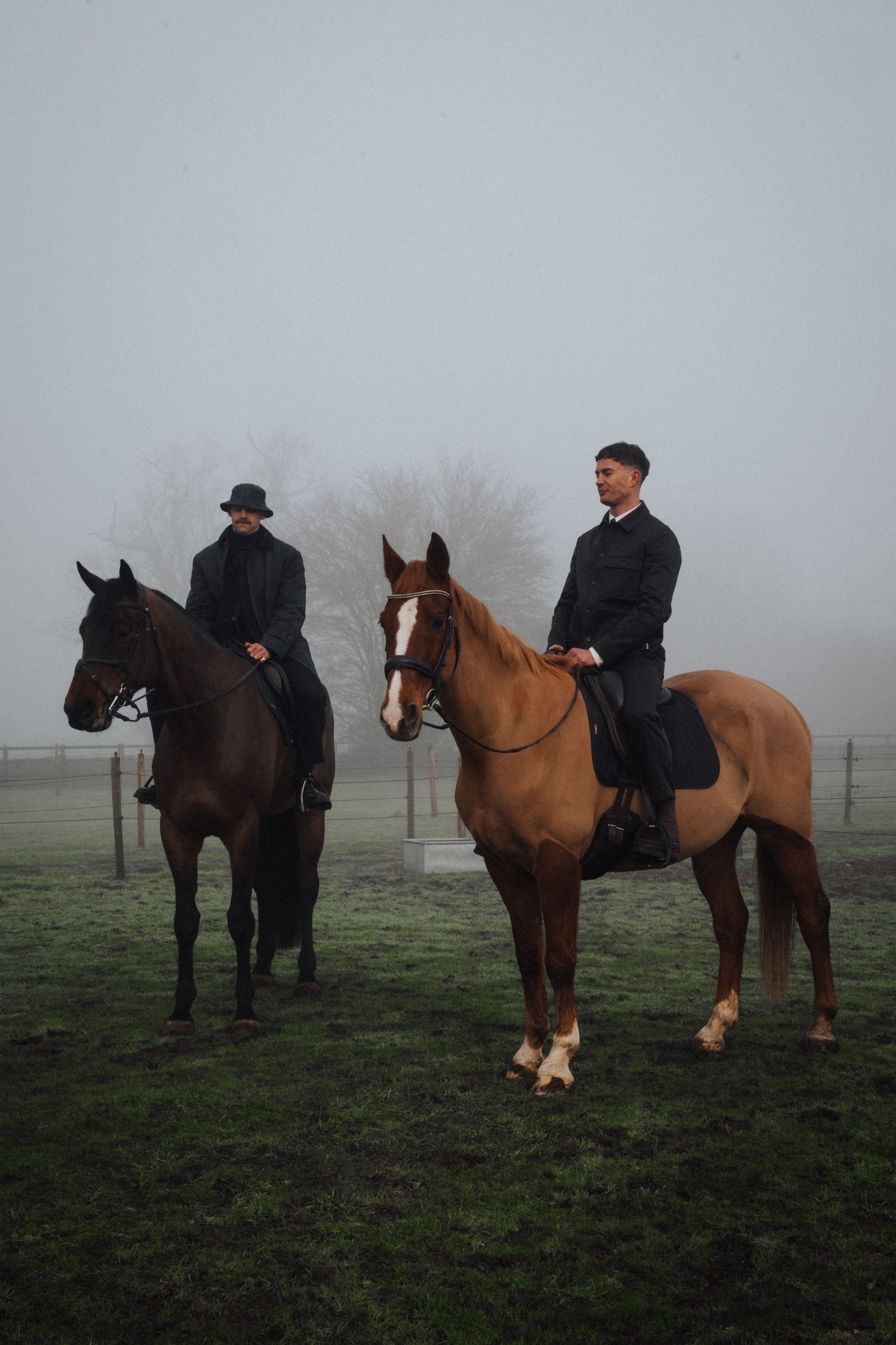 THE YEAR<br>
OF THE HORSE <br> HAS ARRIVED.