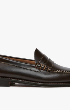 A dark brown leather penny loafer shown in a side profile view against a clean white background.